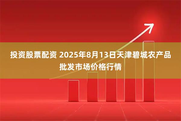 投资股票配资 2025年8月13日天津碧城农产品批发市场价格行情